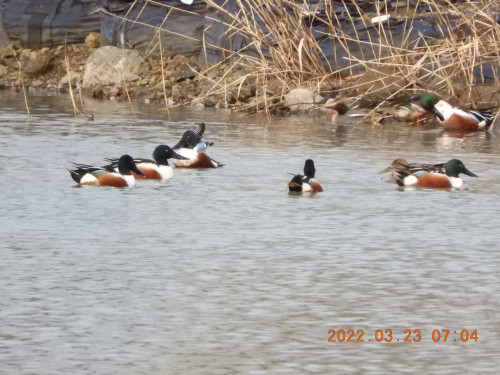 DSCN3146.JPG