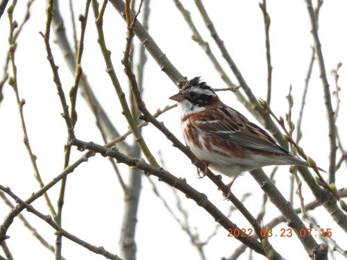DSCN3158.JPG