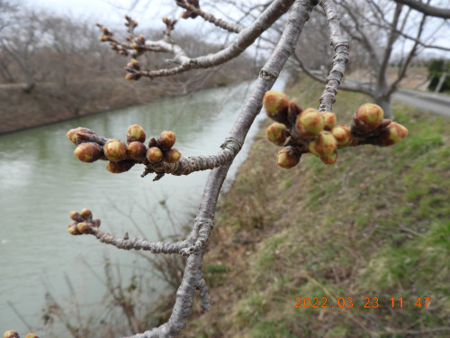 DSCN3176.JPG