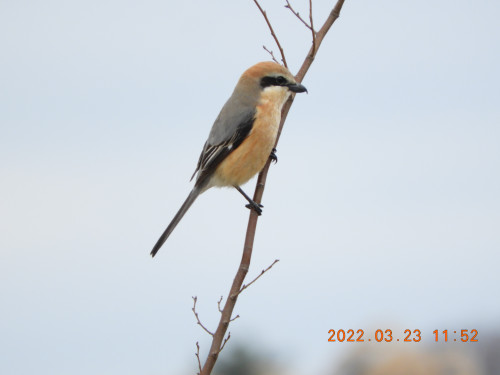 DSCN3183.JPG