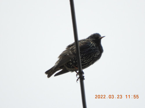 DSCN3188.JPG