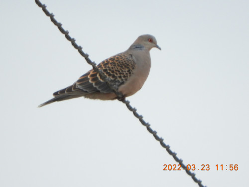 DSCN3189.JPG