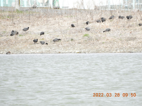 DSCN3223.JPG