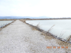 DSCN3229.JPG