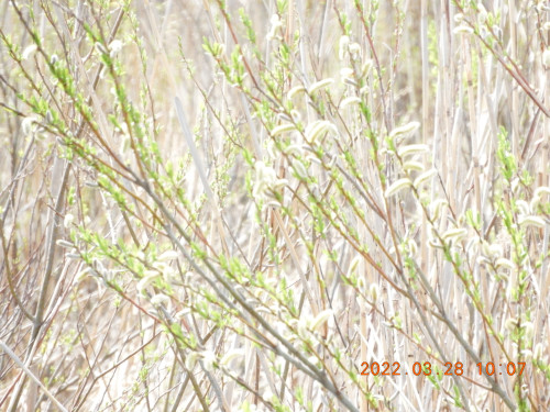 DSCN3235.JPG