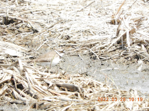 DSCN3250.JPG