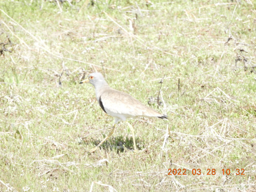 DSCN3278.JPG