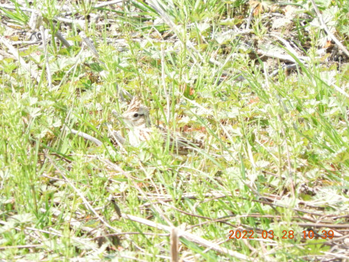 DSCN3286.JPG