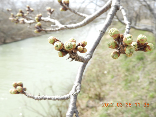 DSCN3297.JPG