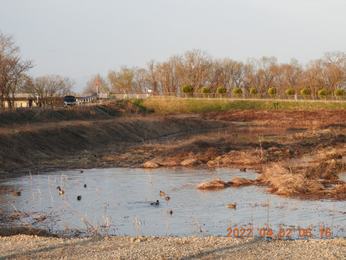 DSCN9922.JPG