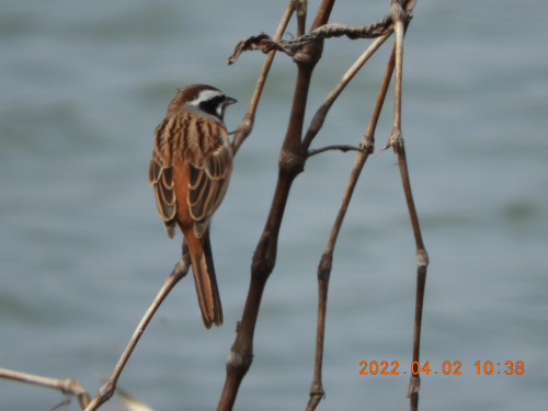 DSCN9963.JPG