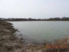 DSCN9955.JPG