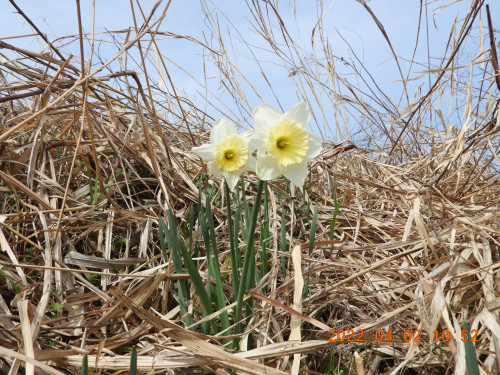 DSCN9968.JPG