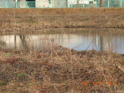 DSCN0018.JPG