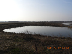 DSCN0021.JPG
