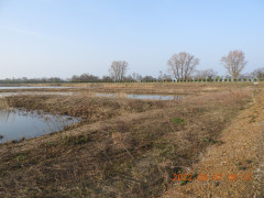 DSCN0022.JPG