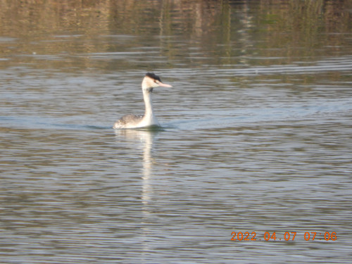 DSCN0023.JPG