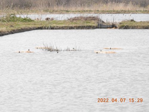 DSCN0061.JPG