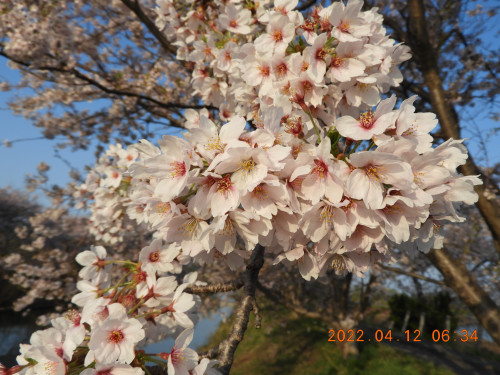 DSCN0069.JPG