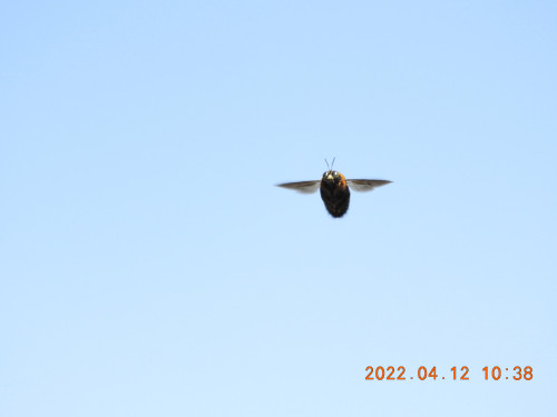 DSCN0114.JPG