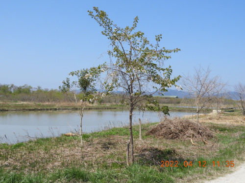 DSCN0187.JPG