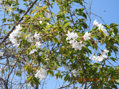 DSCN0188.JPG