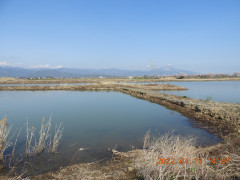DSCN0241.JPG