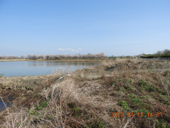 DSCN0242.JPG