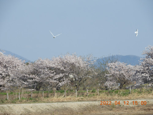 DSCN0244.JPG
