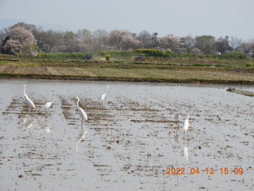 DSCN0246.JPG
