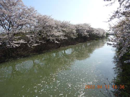 DSCN0252.JPG