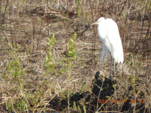 DSCN3076.JPG