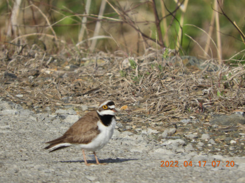 DSCN3095.JPG