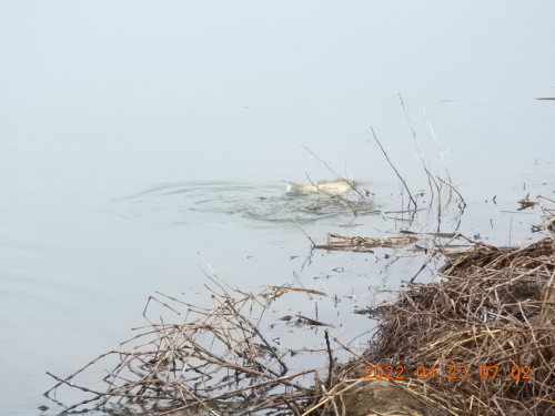 DSCN3178.JPG