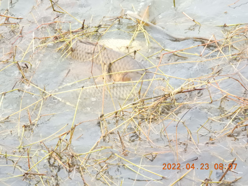 DSCN3288.JPG