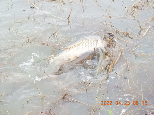 DSCN3370.JPG