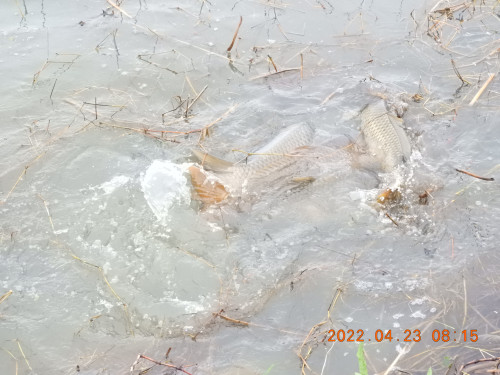 DSCN3371.JPG