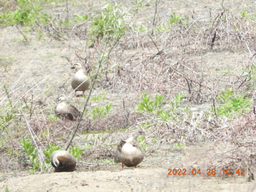 DSCN3654.JPG