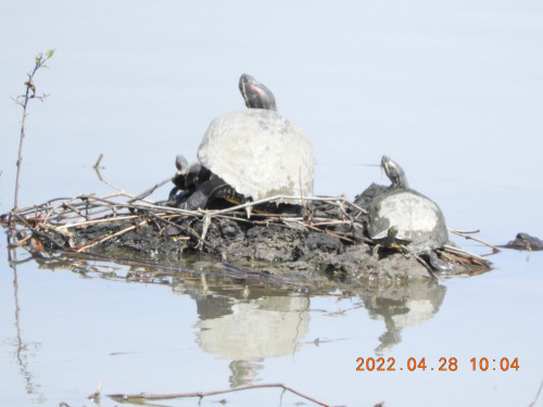 DSCN3592.JPG