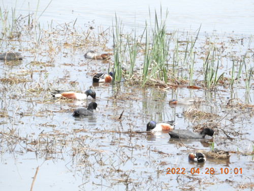 DSCN3589.JPG