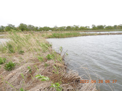 DSCN3489.JPG