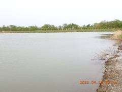 DSCN3485.JPG
