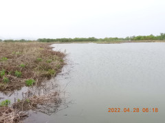 DSCN3484.JPG