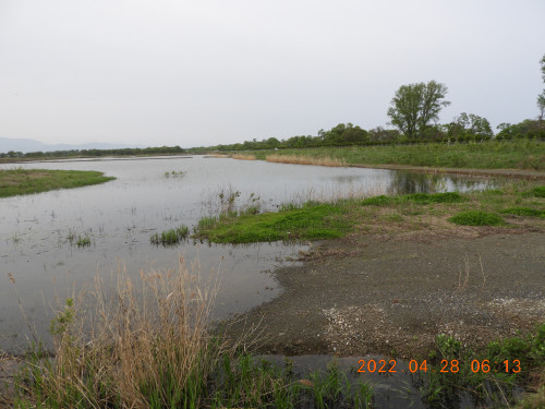 DSCN3480.JPG
