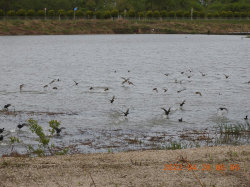 DSCN3474.JPG