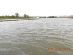 DSCN3490.JPG