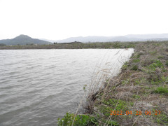 DSCN3491.JPG