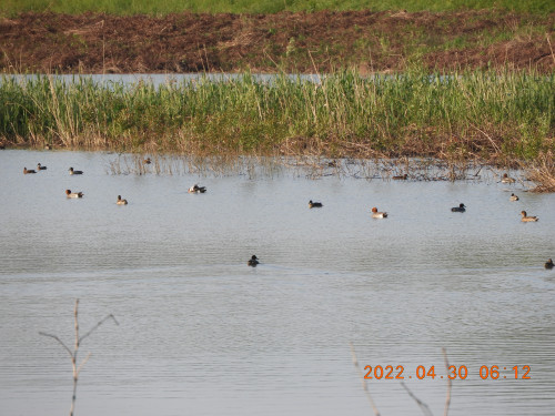 DSCN3780.JPG