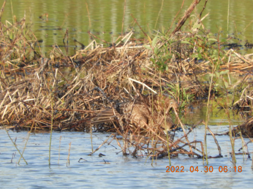 DSCN3787.JPG