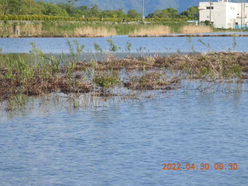DSCN3800.JPG